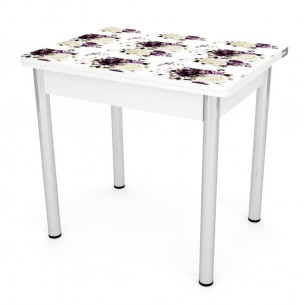 Стол обеденный ЛС-831 (пластик 999 Прованс/ ноги...