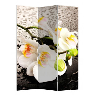Ширма 1111-3 "Белая орхидея и капли" (3 панели)