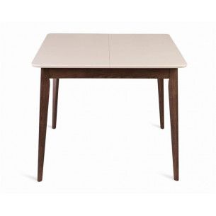 Стол Рэй-0090 (темный тон / слоновая кость 9001) Квадратный