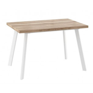 БОРГ-120(160)х80стол раздвижной Дуб каньон/Белый