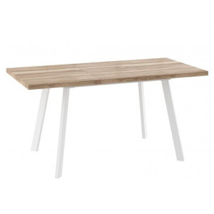 БОРГ-120(160)х80стол раздвижной Дуб каньон/Белый