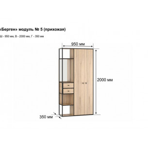 Прихожая Берген-5 Дуб крафт золотой, черный