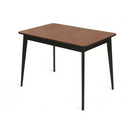 Стол Рэй-1030 прямоугольный (венге / средний тон + венге)