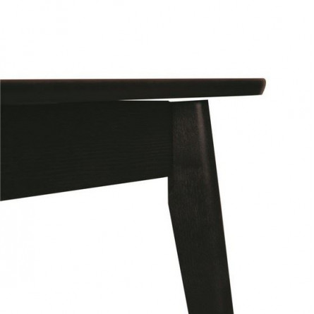 Стол Рэй-1030 прямоугольный (венге / средний тон + венге)