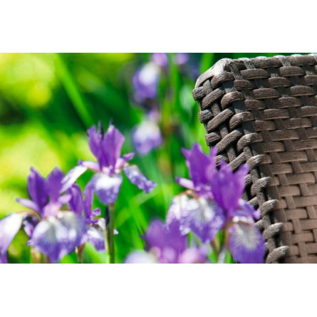 Комплект мебели Corfu Russia duo (2 кресла), коричневый