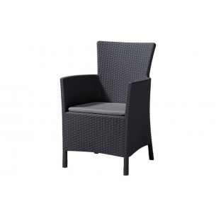 Стул-кресло Montana