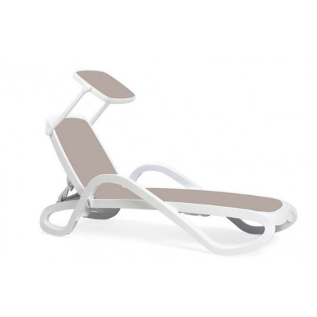 белый-тортора