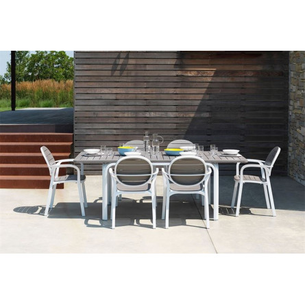 белый-тортора