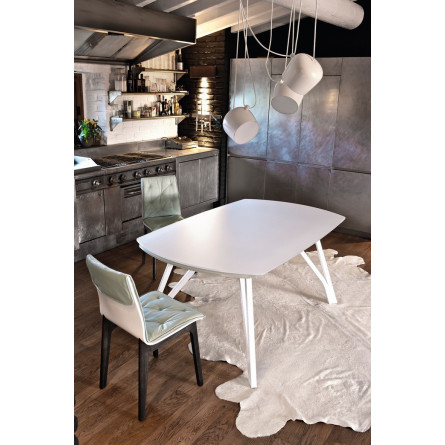 Стол WONDER (20.48) 170/250*100*75 см (M089/C150) Bontempi