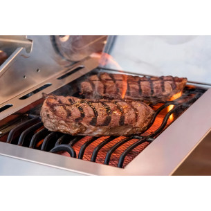 Газовый гриль Nexgrill Deluxe GRIZZLY 5B