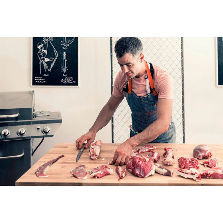 Газовый гриль Nexgrill Deluxe GRIZZLY 5B