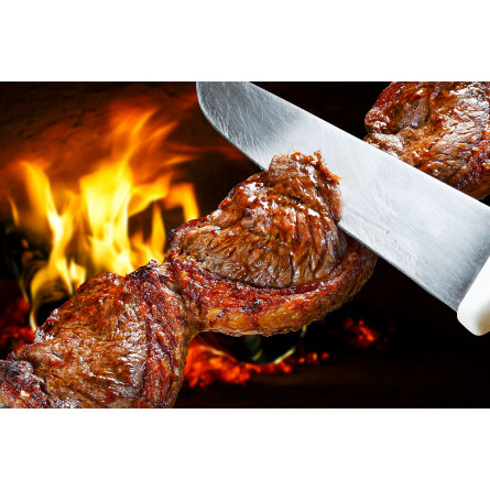 Газовый гриль Nexgrill Deluxe GRIZZLY 5B