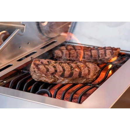 Газовый гриль Nexgrill Deluxe GRIZZLY 5B