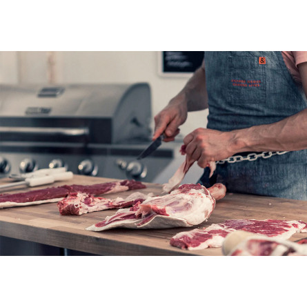 Газовый гриль Nexgrill Deluxe GRIZZLY 5B