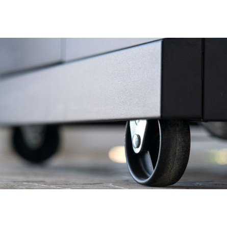 Газовый гриль Nexgrill Prime BISON 5B