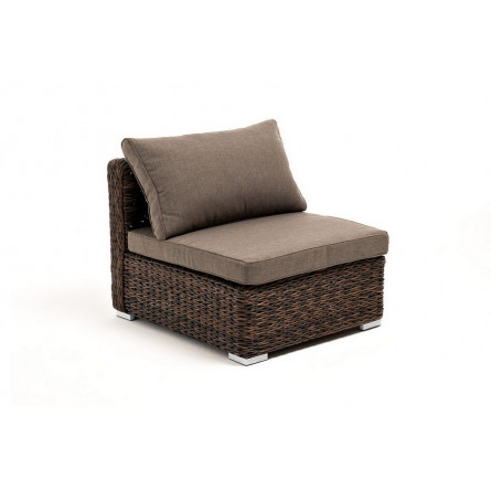 цвет коричневый (гиацинт)