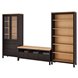 HEMNES ХЕМНЭС, Шкаф для ТВ, комбинация, черно-коричневый/светло-коричневый прозрачное стекло