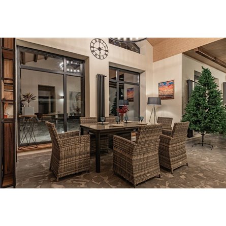 LUDWIG + FIONA обеденный комплект серого цвета