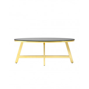 100*50 АЛЬБА золото стекло черное закаленное каркас нержавеющая сталь