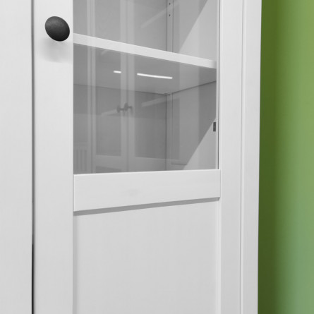 Шкаф-витрина ХЕМНЭС (Россия) дверь ст/пн...