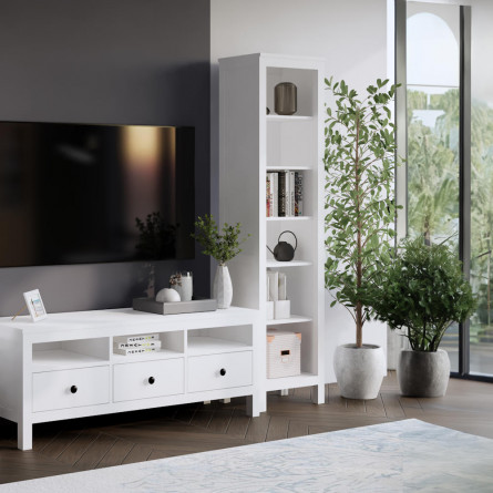 Стеллаж малый ХЕМНЭС (Россия) белый (1уп.)