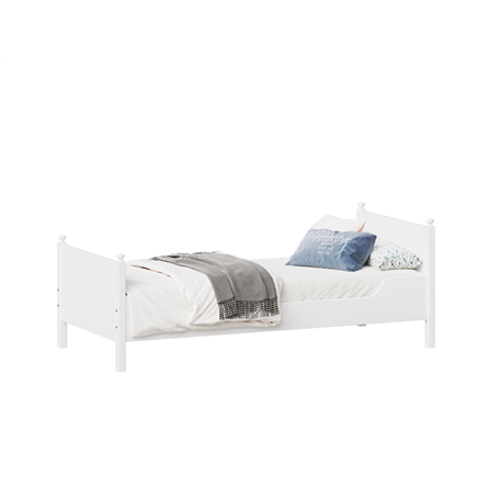 массив сосны