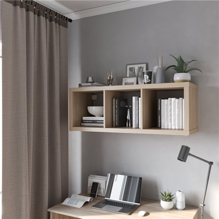 цвет дуб беленый