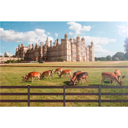 Забор Ранчо HILST 1.5x1