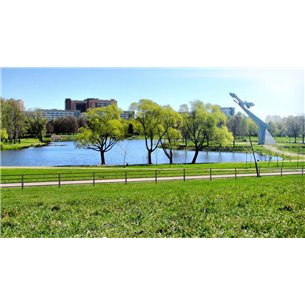 Забор-ограждение Родео Hilst, 1.5х1м