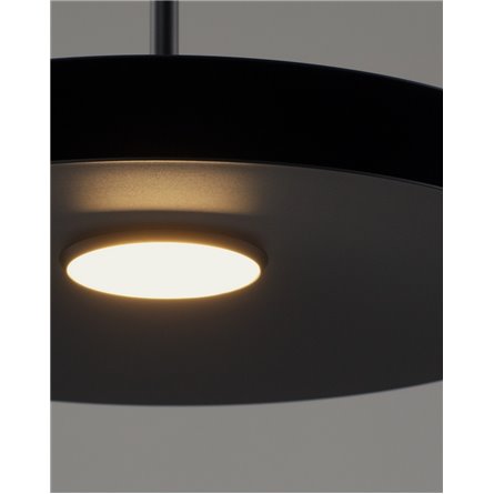 |Moderli|V11111-PL Montana