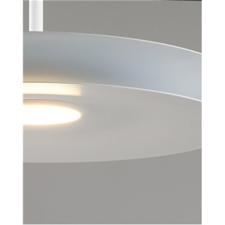 |Moderli|V11112-PL Montana