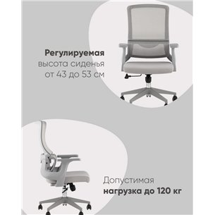 Компьютерное кресло|TopChairs|TopChairs Argo серый