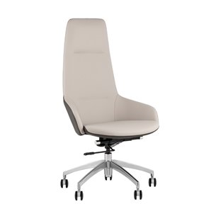 Кресло руководителя TopChairs Soulo светло-серый