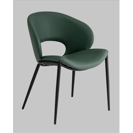 ||Вивьен экокожа зеленый