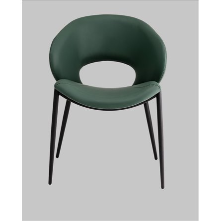 ||Вивьен экокожа зеленый