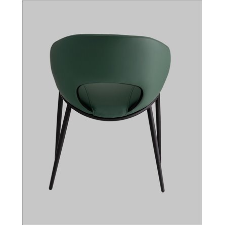 ||Вивьен экокожа зеленый