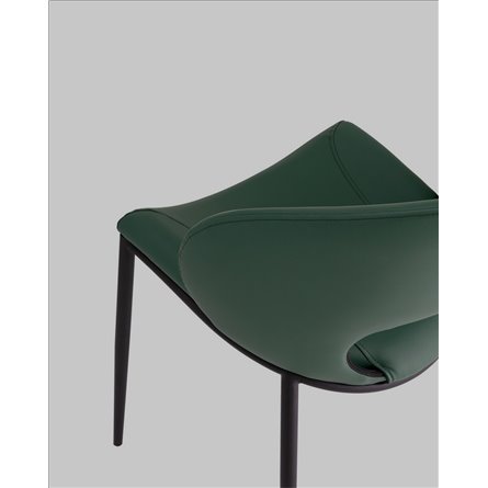 ||Вивьен экокожа зеленый