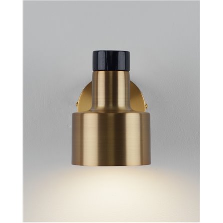 ||Moderli V11313-1W Goldy