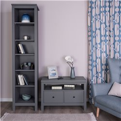 2.08.03.080.4 САГА тумба 2 ящика серая RU